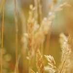 自分を磨く好奇心